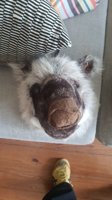 troféus em Peluches para parede - Quarto de criança