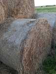 Sloma w belach sprzedam