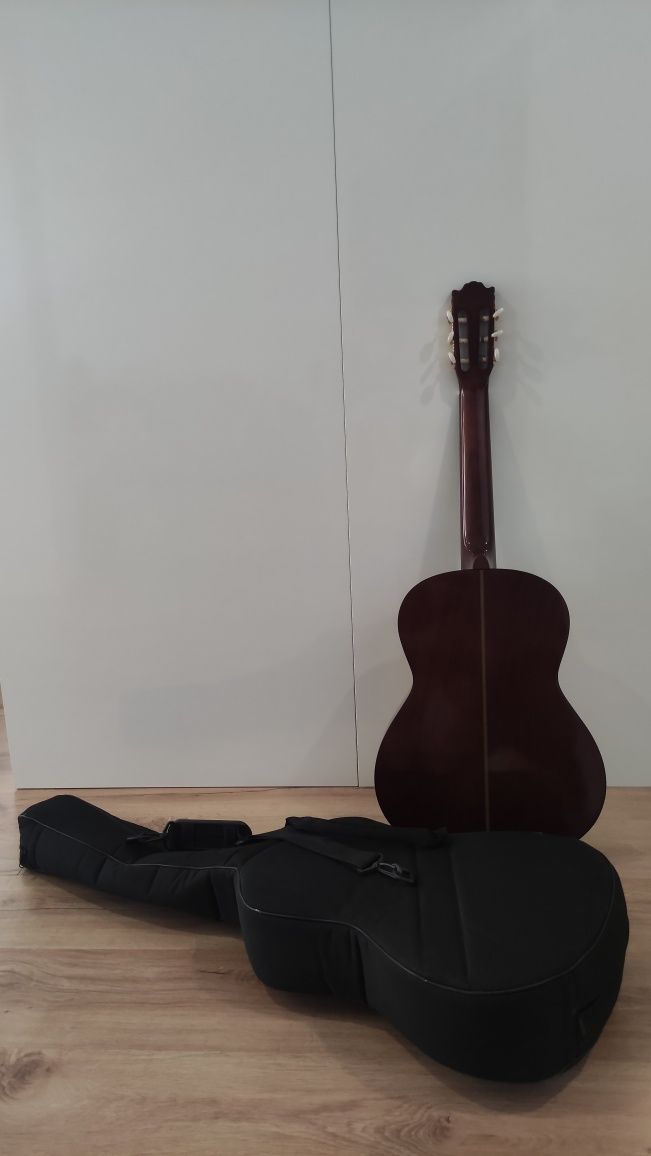 Viola com mala de transporte