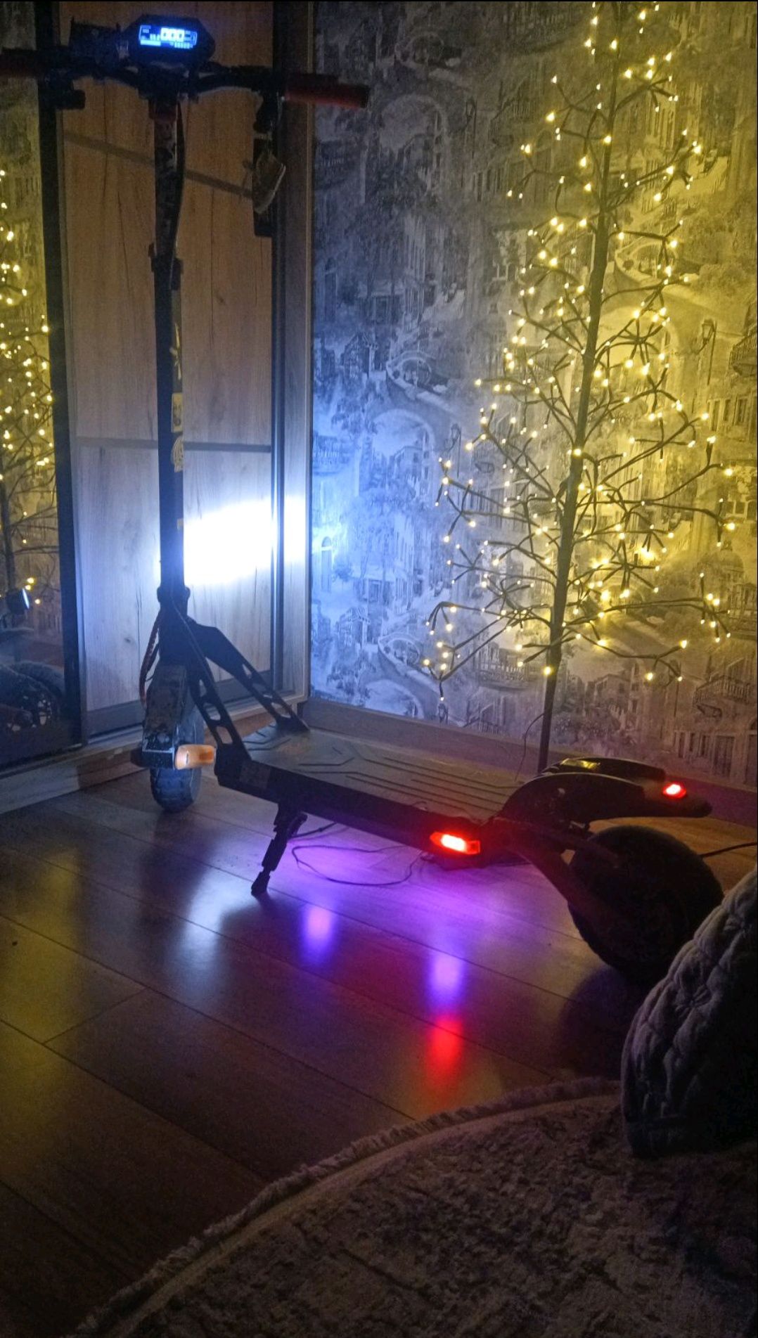Kugoo kirin g2pro