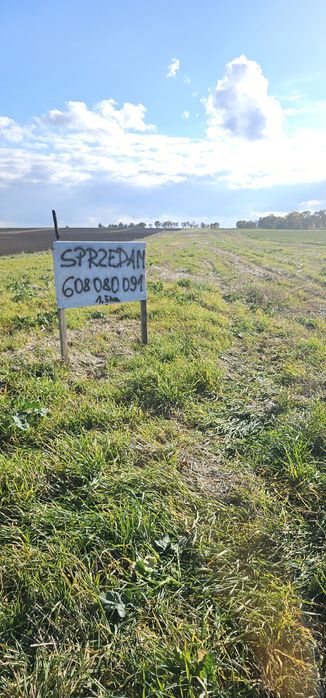 Działki Rolne , Czarnoziemy  przy drodze 1,5 ha Zimno gmina Łaszczów