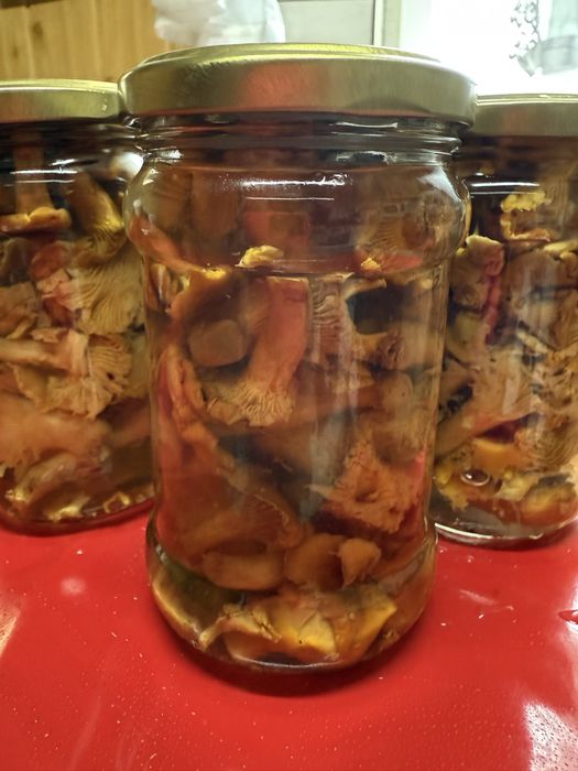 10x315 kurki w solance