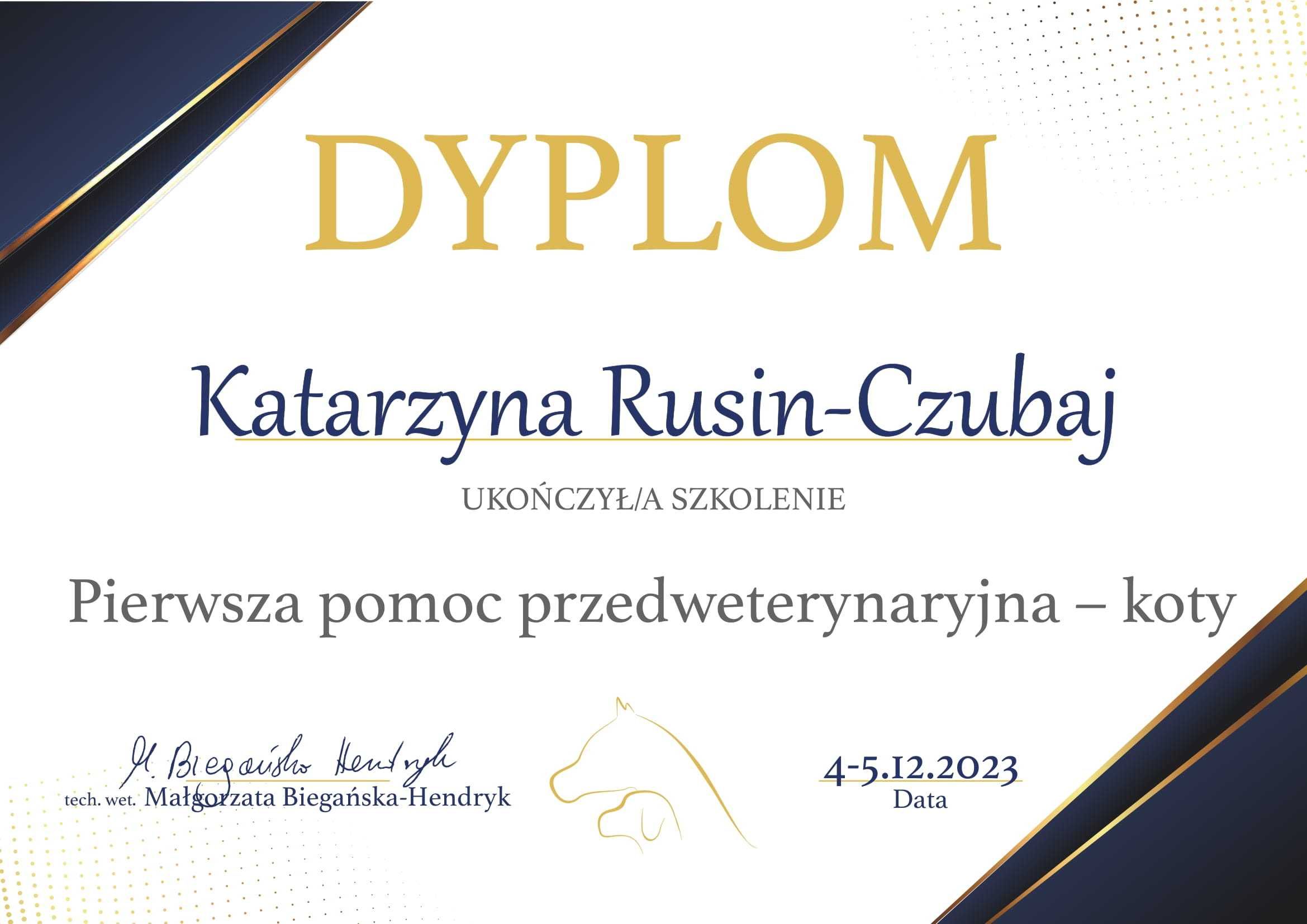 Koci behawiorysta dietetyk behawioryzm kot Gliwice Śląsk Online