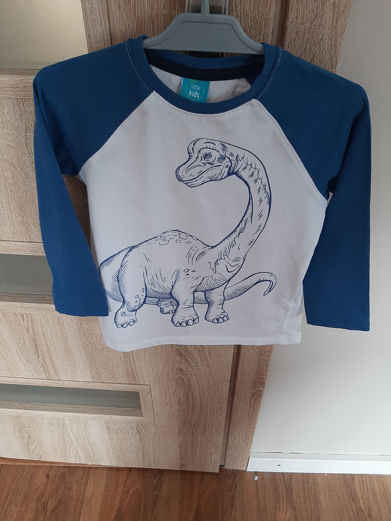 Bluzla z długim rękawem Dinozaur r.110