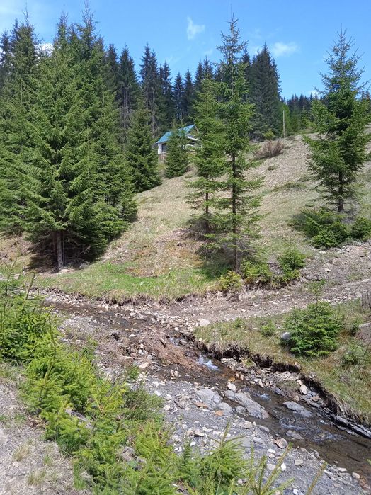 Будинок Ніч в Карпатах