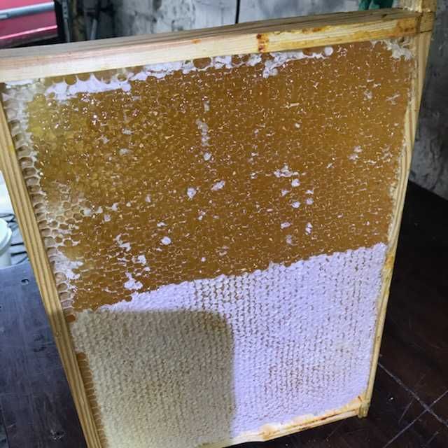 Rodziny pszczele i odkłady