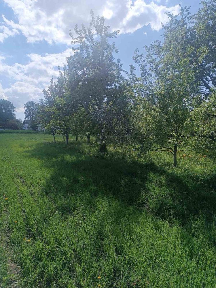 Продається будинок 15 км від м Коломия