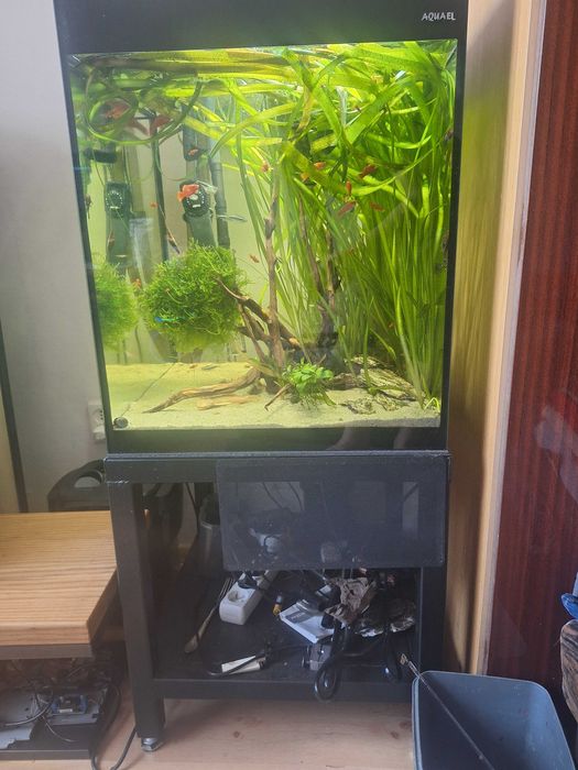 Sprzedam akwarium 135l zestaw