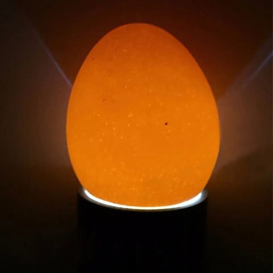 Lanterna mira ovos/ ovoscopia