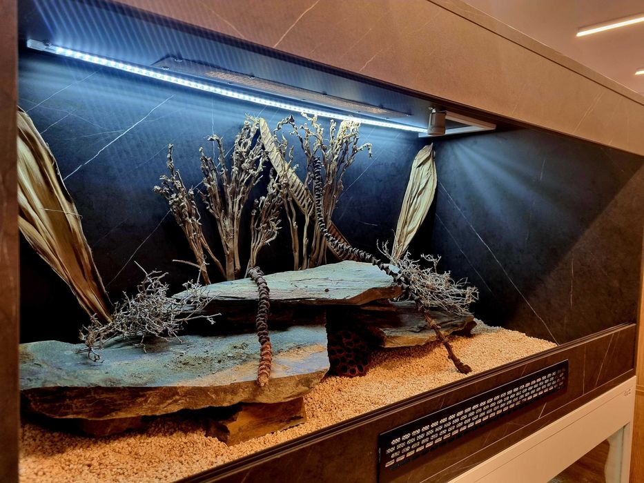 Terrarium 120x60x60 dla agamy gekona legwana jaszczurki węża żółwia