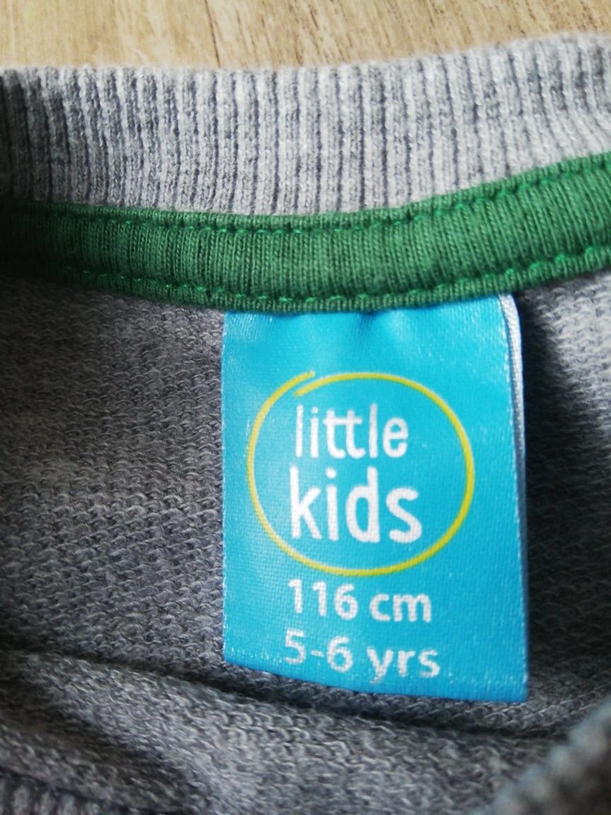 Bluza dinozaur Little Kids