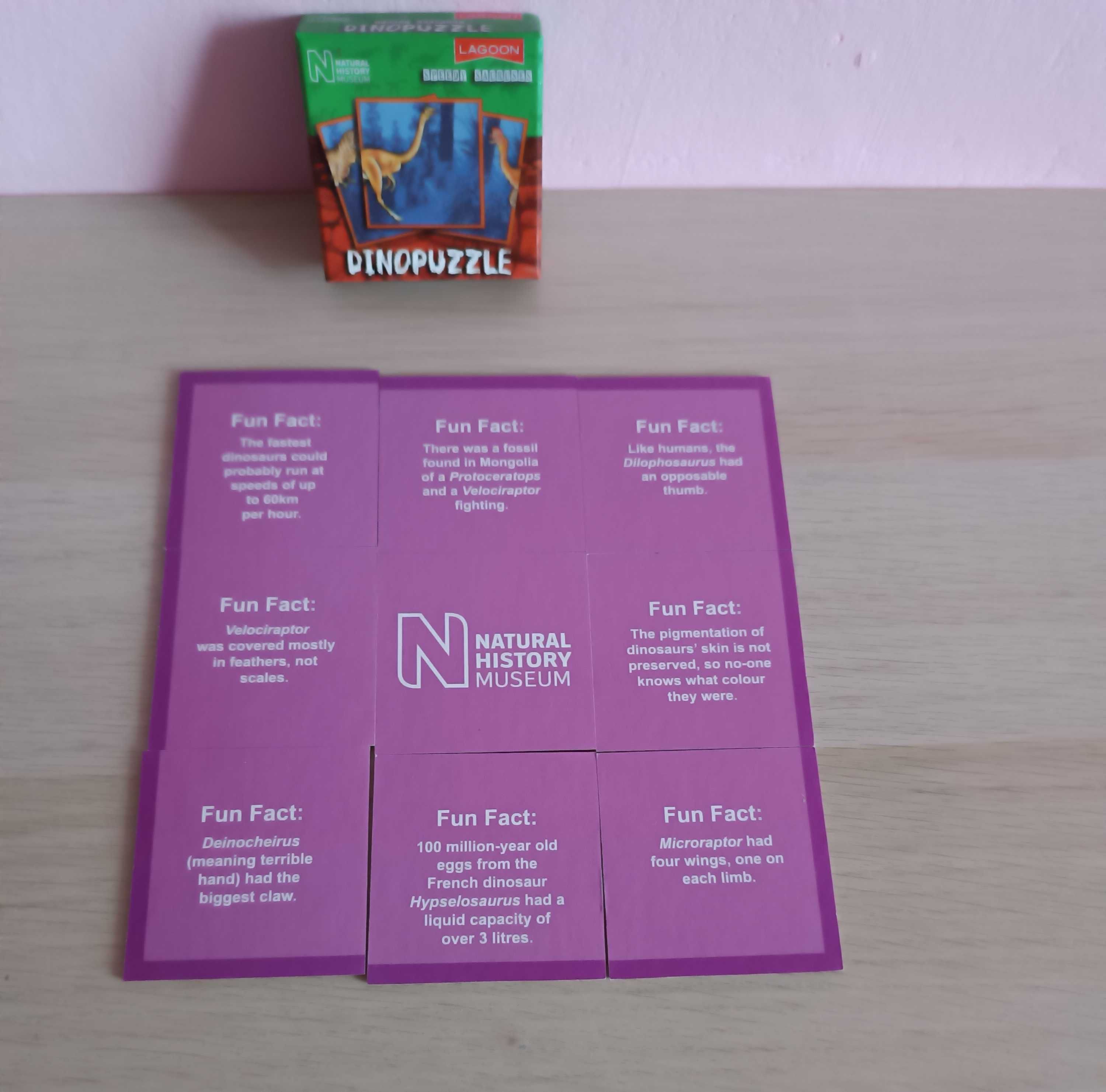 Dinopuzzle puzzle z dinozaurami 19 x 19 cm wiek 6+