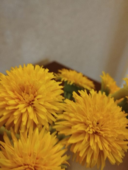 одуванчики из полимерной глины в наличии.