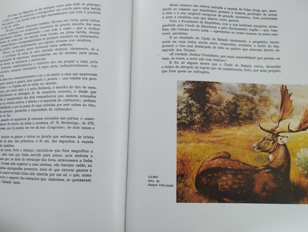 "A proposito da Caça". De: João Maria Bravo . Livro a muito bom preço