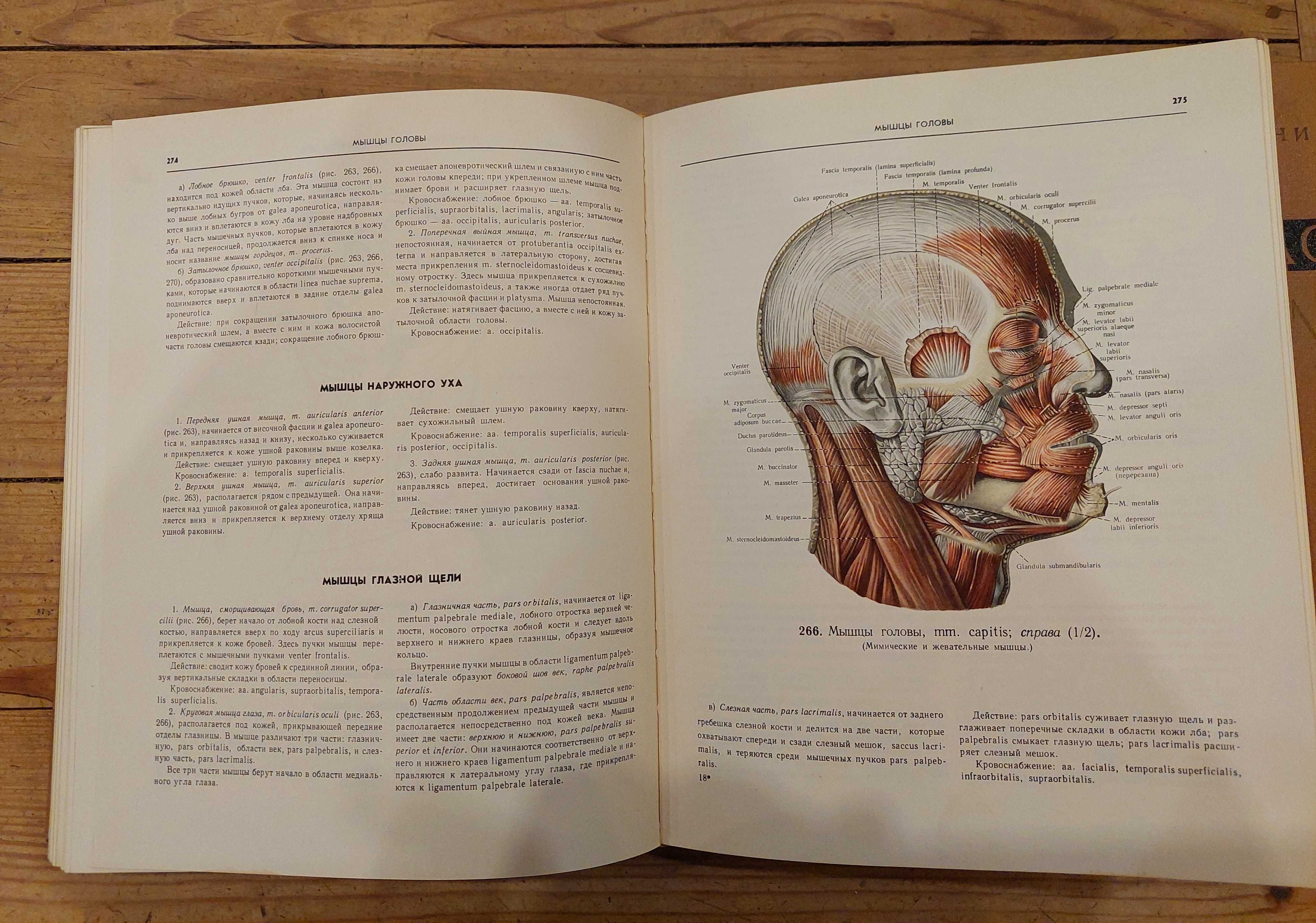 Atlas anatomii człowieka (trzy tomy), R.D. Sinielnikow