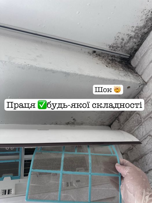 Видалення плісняви видалення грибка - дезінфекція - озонування