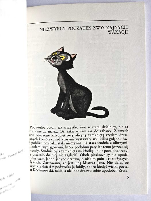 ZABAJANE WAKACJE - Andrzej Grabowski