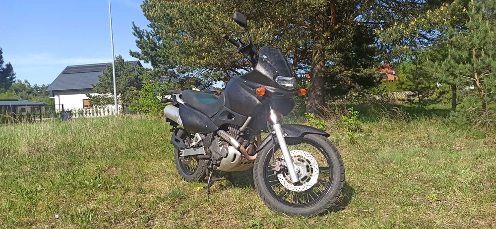 Suzuki xf 650 freewind