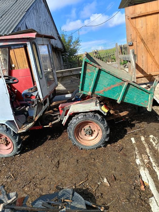 Продається Прикарпатець.