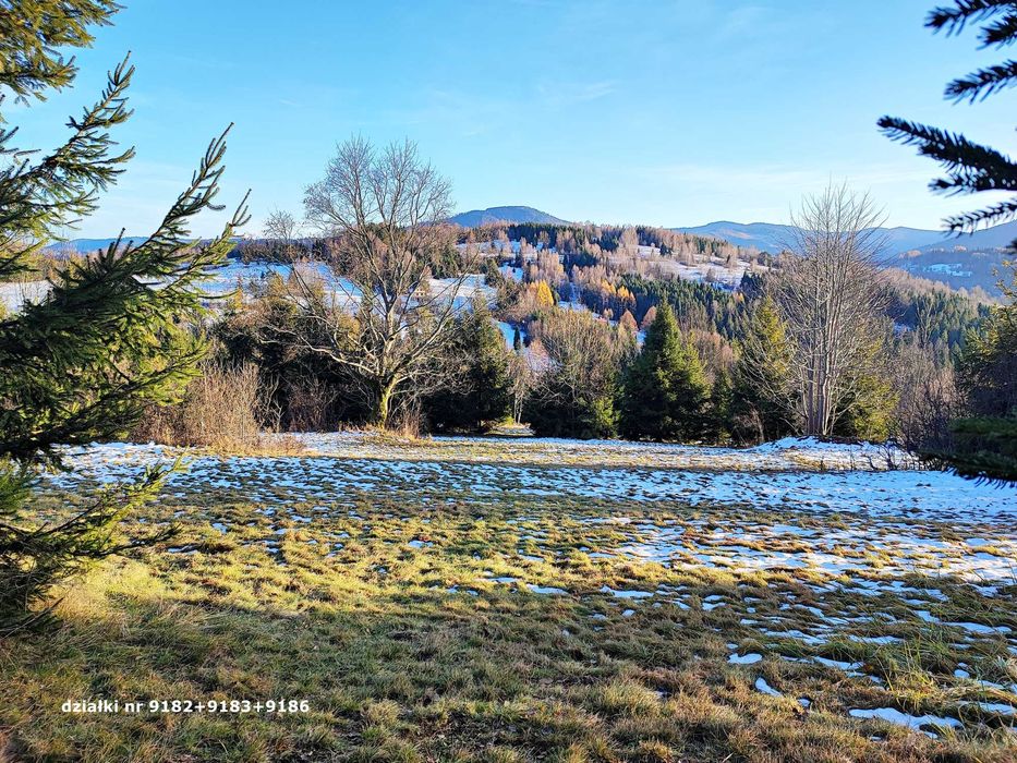 Działki rolne w górach – Sól, gm. Rajcza, powierzchnia łącznie 1 ha