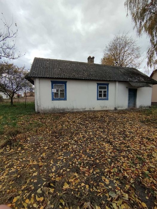 Продам хату у селі Козлиничі