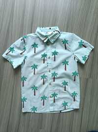 Hm koszula letnia palmy 122