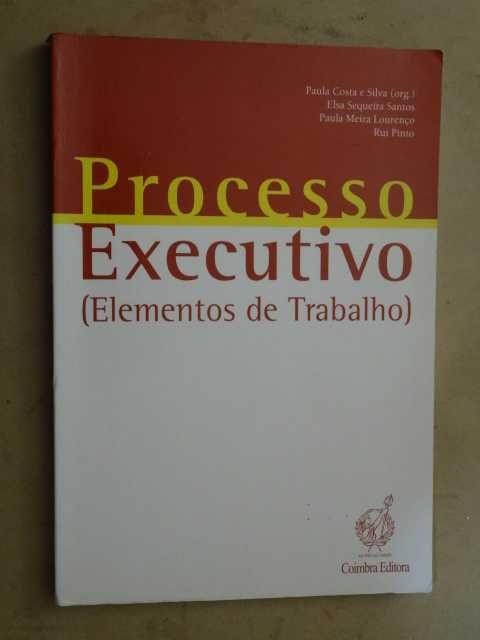 Processo Executivo de Paula Costa e Silva