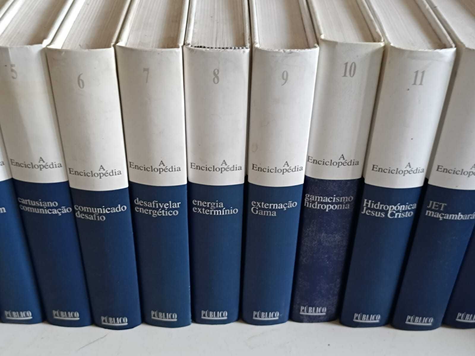A Enciclopédia 30 Volumes– Ótimo Estado!*