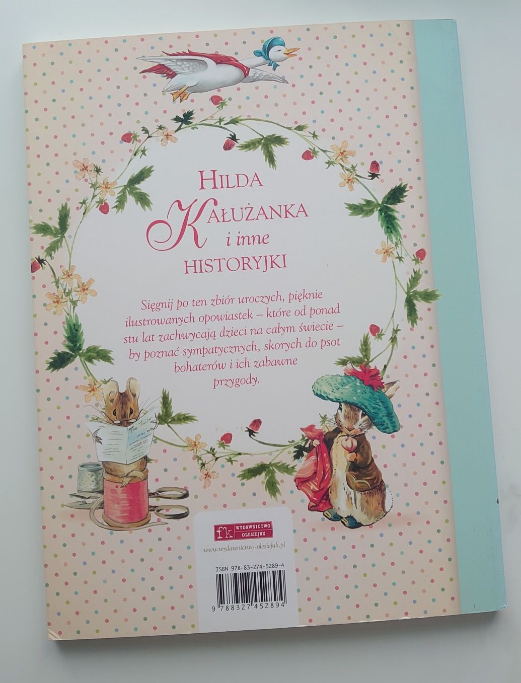 Książka Hilda Kałużanka i inne historyjki j.nowa