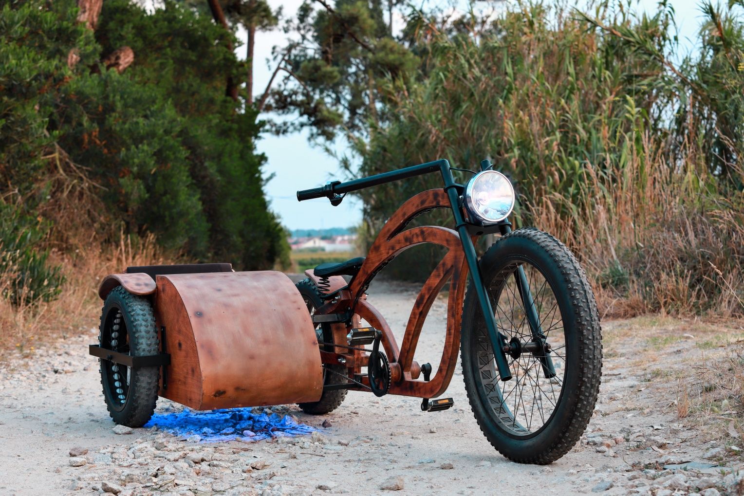 Bicicleta em madeira com sidecar
