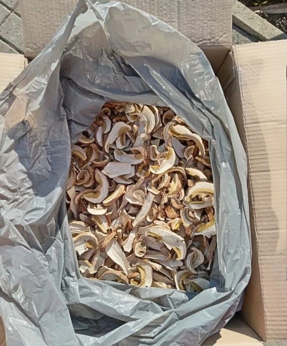 Сушені білі гриби сушені лисички сушені опеньки