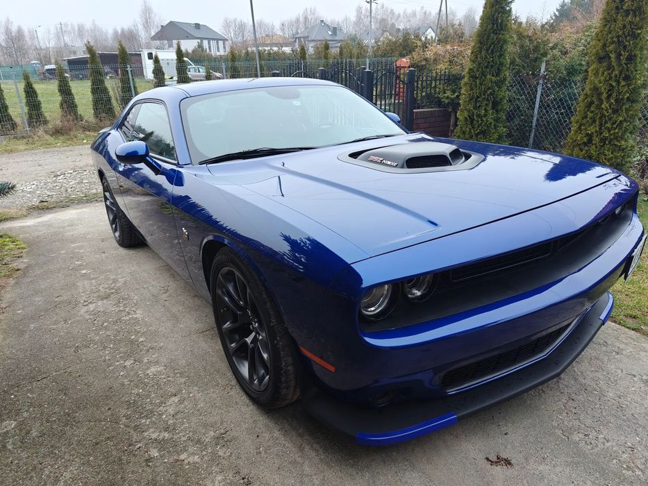 Dodge Challenger Dodge Challenger Scat Pack Shaker 2020r.