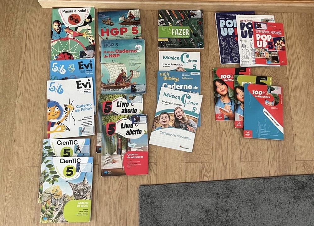 Conjunto Manual Caderno atividades 5 ano