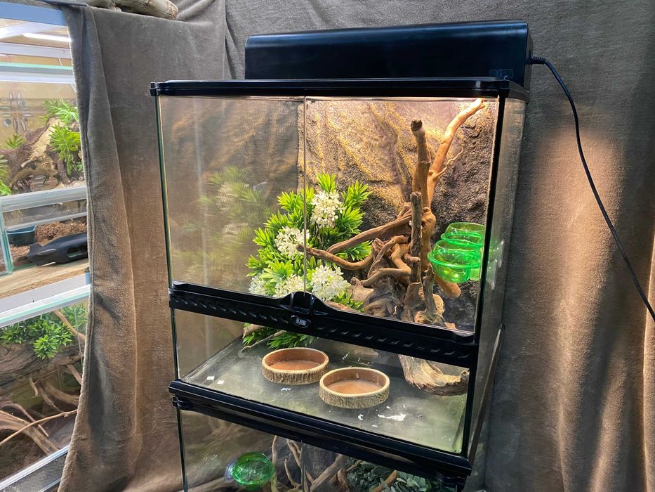 Тераріум скляний для рептилій (різні)