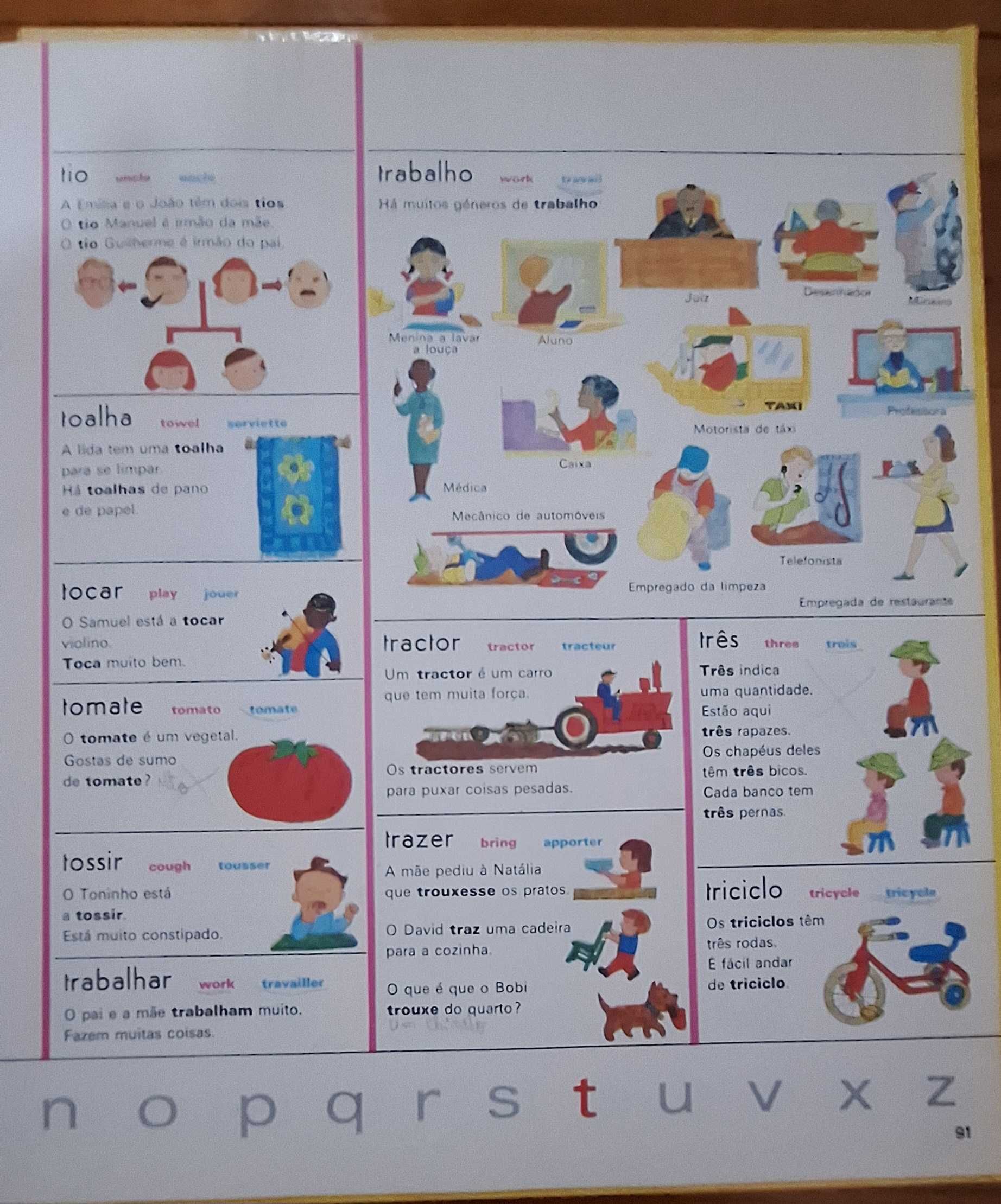 Dicionário Infantil dos 3 idiomas
