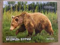 Чорнобиль. Відродження. Ведмідь бурий у сувенірному пакуванні