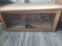 Terrarium jeża pigmejskiego