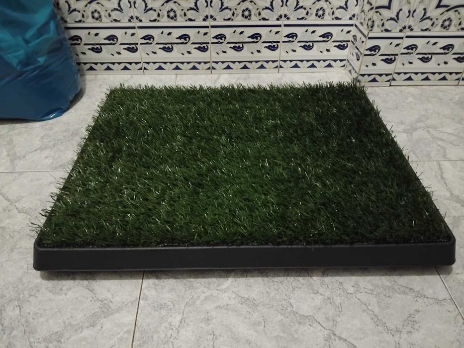 Tapete higiénico para animais de estimação