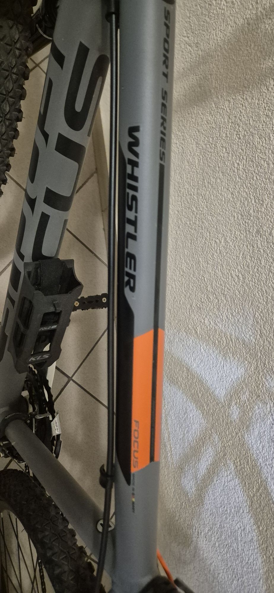 Rower Focus Whistler 26 cali-M