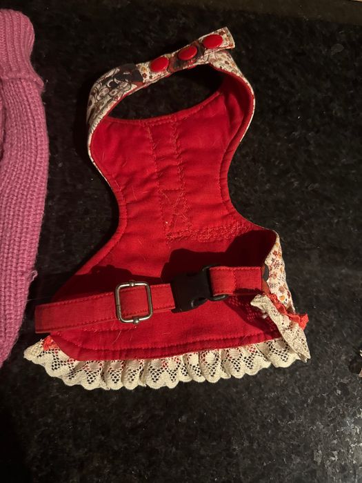 Roupa/Vestuário Chihuahua ( cão ou gato bebe)