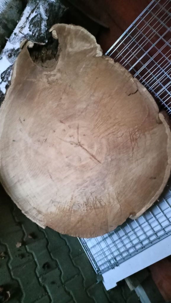 Plaster Dębowy okazja