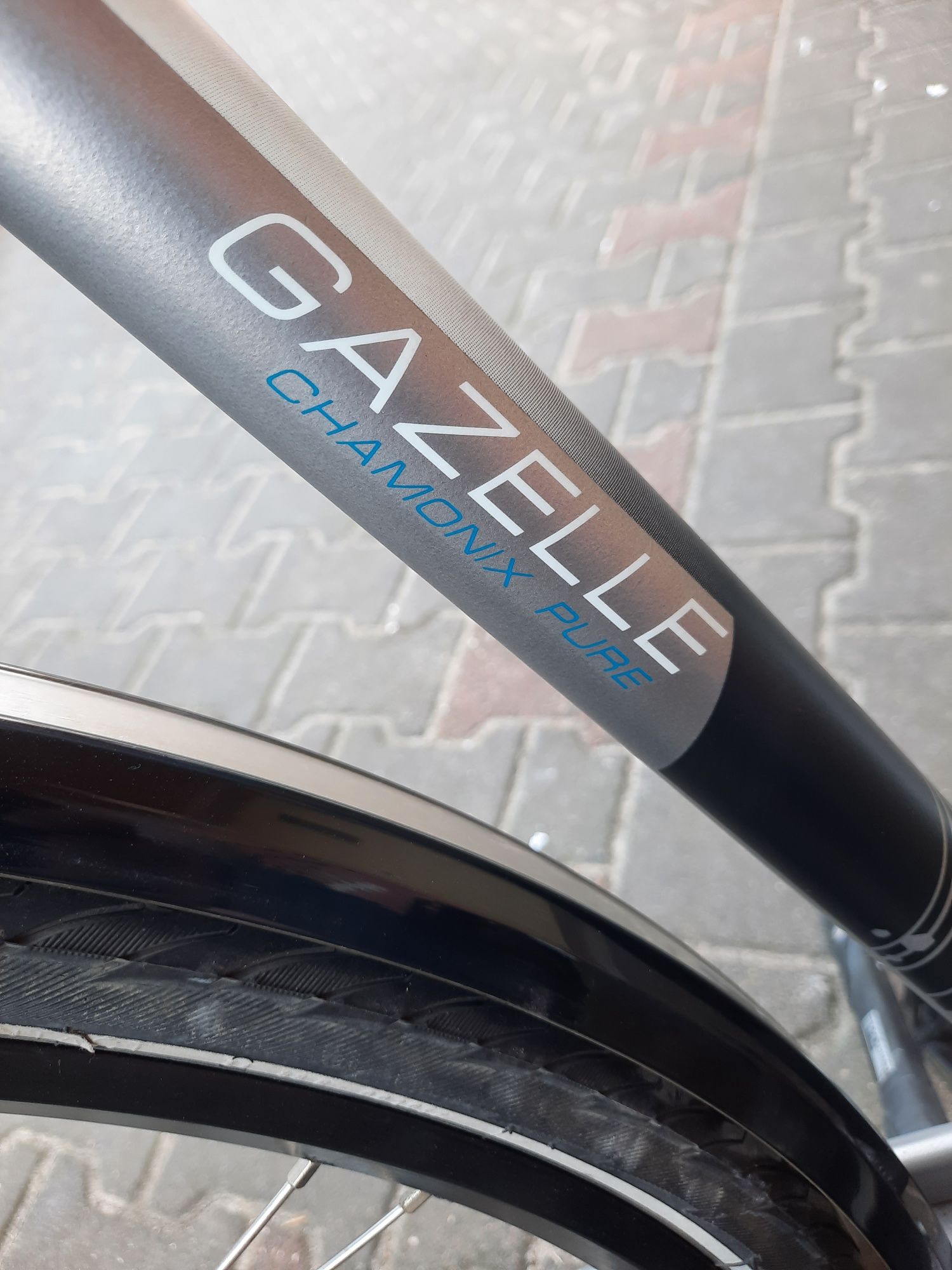 Gazelle Chamonix Pure