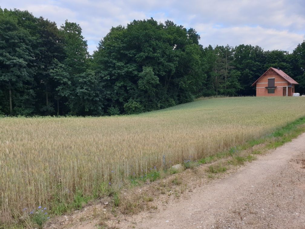 Atrakcyjna działka budowlana Lwówek ŚLĄSK