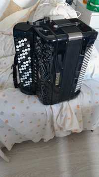 Acordeao acordeon Pigini