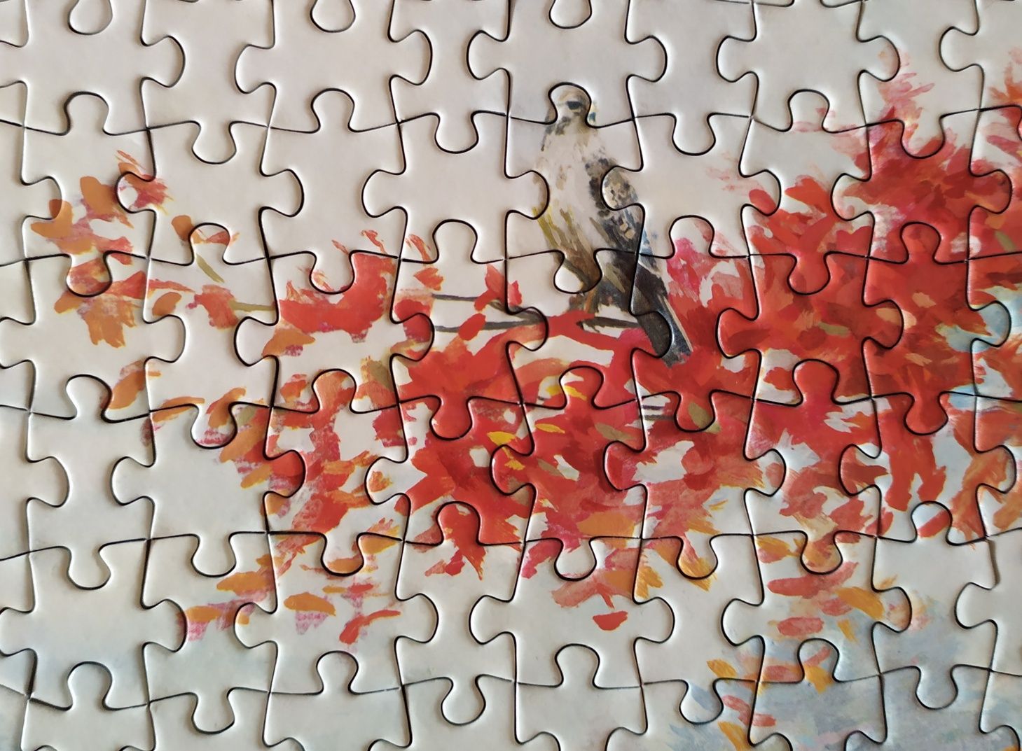 Puzzle 1500 Anatolian Biwak nad rzeką