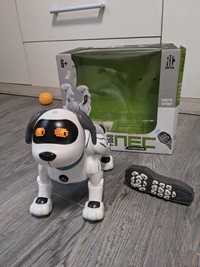 Інтерактивний робо-пес на пульті