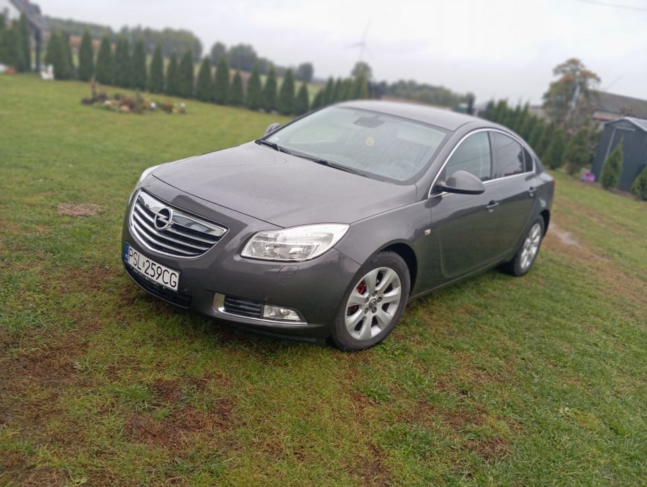 Opel Insignia 2.0 CDTI 160 KM
