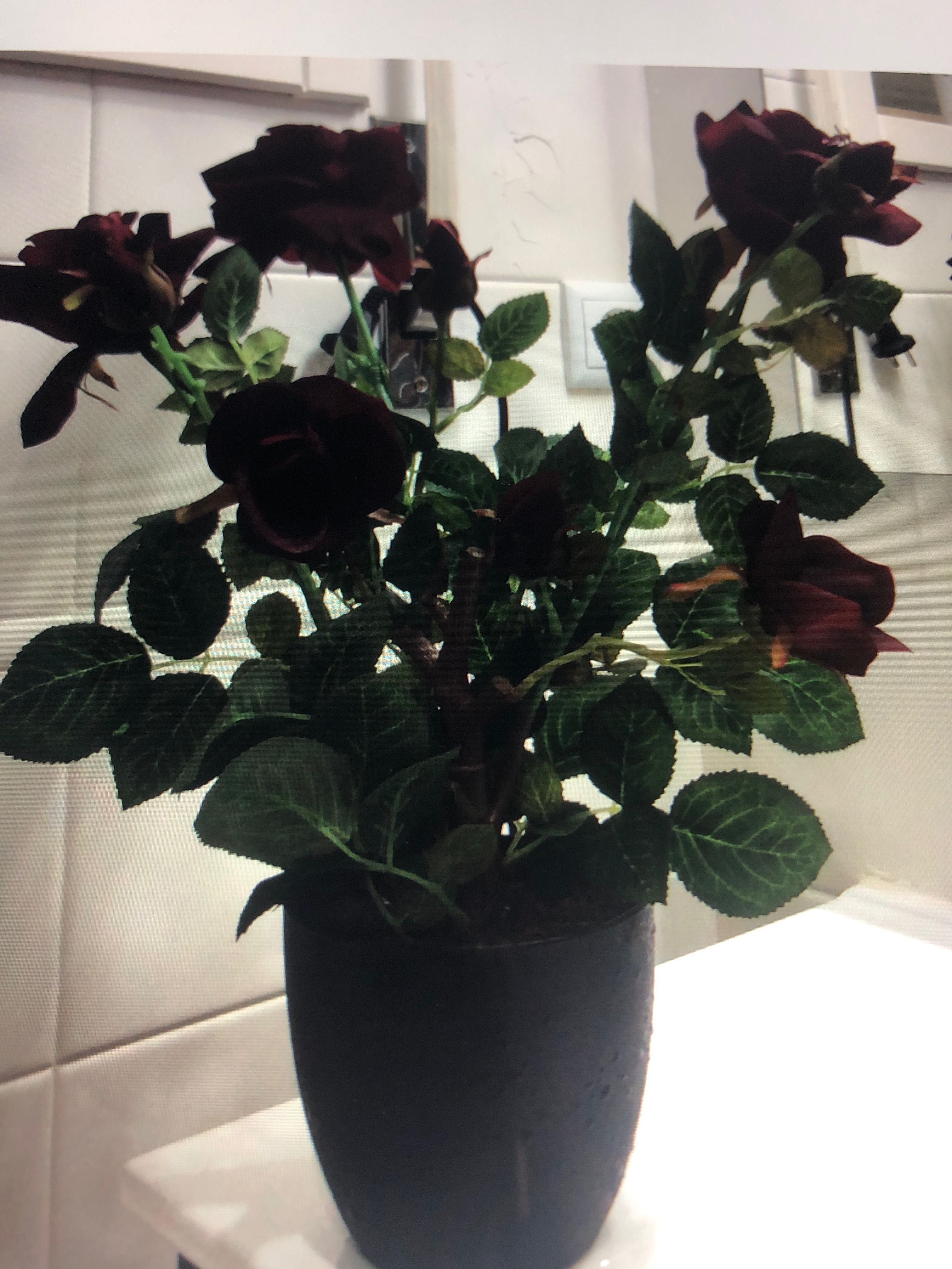 Vaso de rosas vermelhas