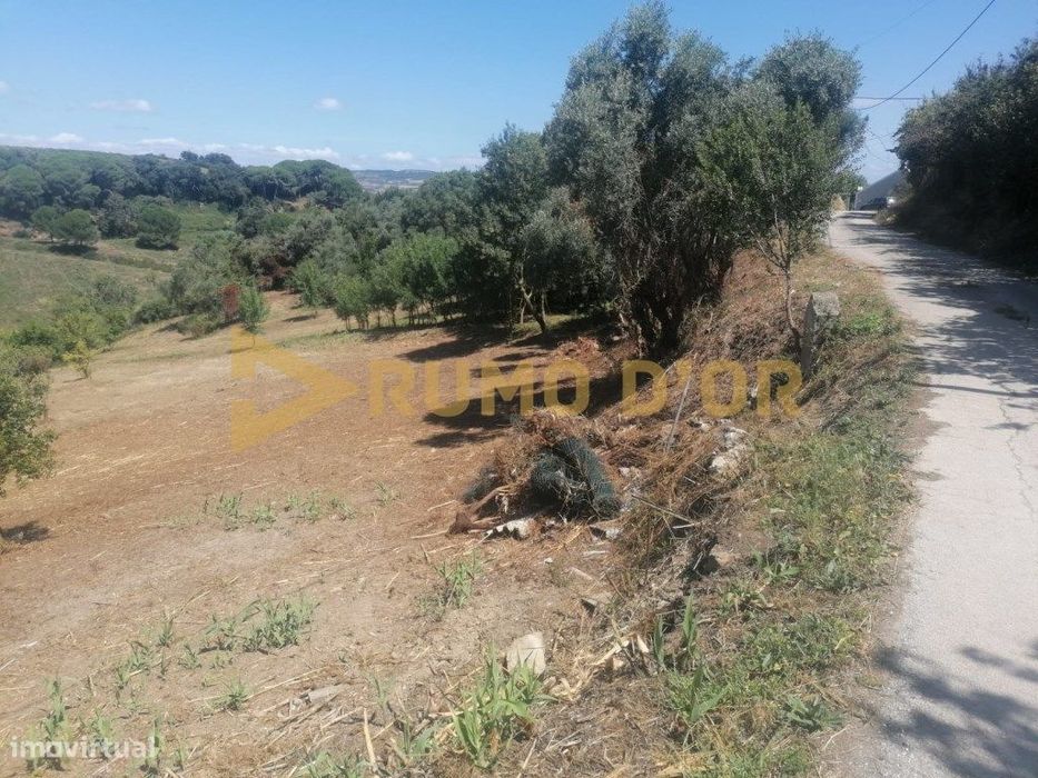 Terreno Rústico a 10 minutos de Vila Franca de Xira e de Alhandra