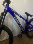 Rower dirtowy Dartmoor Gamer 24”